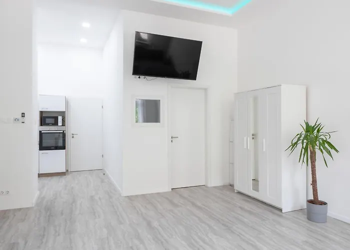 Luxury Apartment In The Central